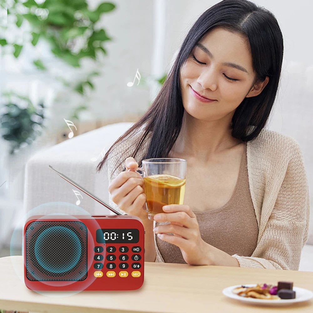 Tragbares FM-Radio, Bluetooth 5.0-Lautsprecher, TF-Karte, U-Disk, MP3-Player, Aufnahme mit einer Taste, 3,5-mm-Kopfhöreranschluss, Outdoor-Audio-Player – Detail 14