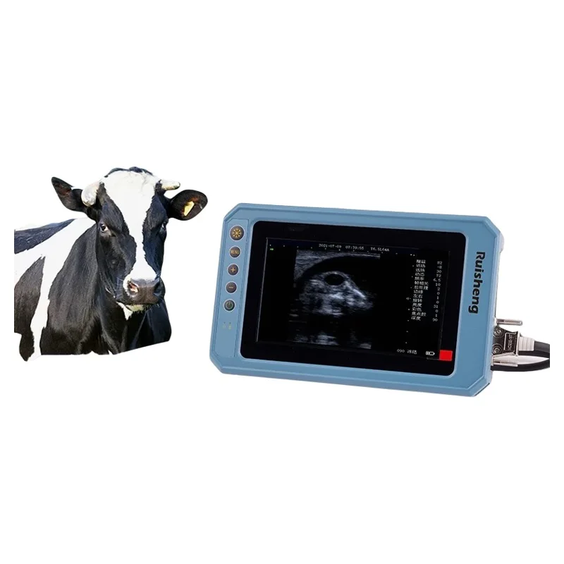 

7 Inch Led Screen Medical Equipment Veterinary Equipment Portable Handle Digital B Ultrasound Machine For Animals Cattle Dog