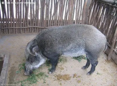 

Roof Sunshade For LINCOLN Corsair 2019-2022 2023 Car Electrostatic Adsorption Sunroof Sunshade Skylight Blind Shading Sticker