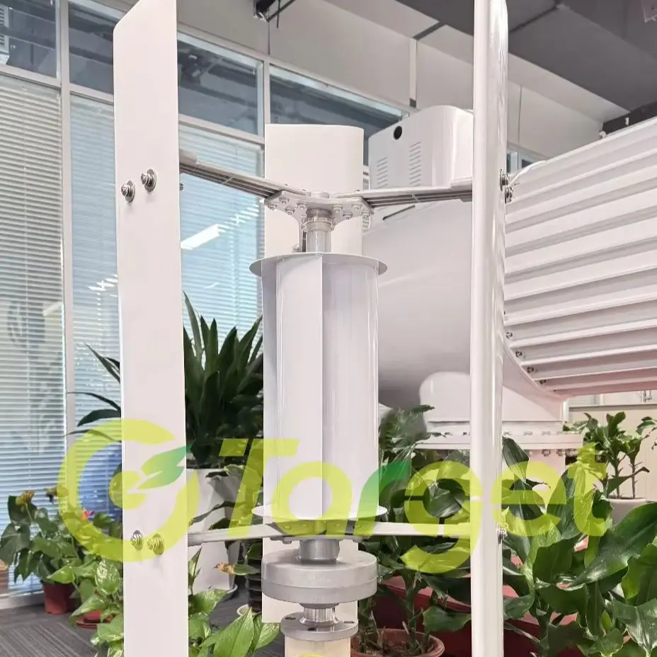 Low Noise Household 5000W 6000W 8000W 12V 24V 48V Vertical Axis Generator Magnetic Wind Turbine Free Energy Low Speed Farm 220V