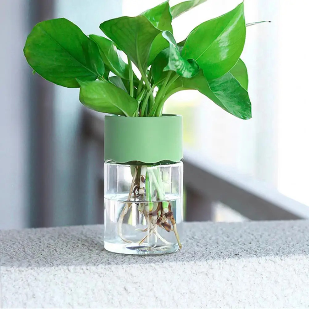 Plastic Plant Pot Transparent Hydroponic Flower Pot 2 Pcs Mini Hydroponic Flower Pots Reusable Transparent Planters for Home