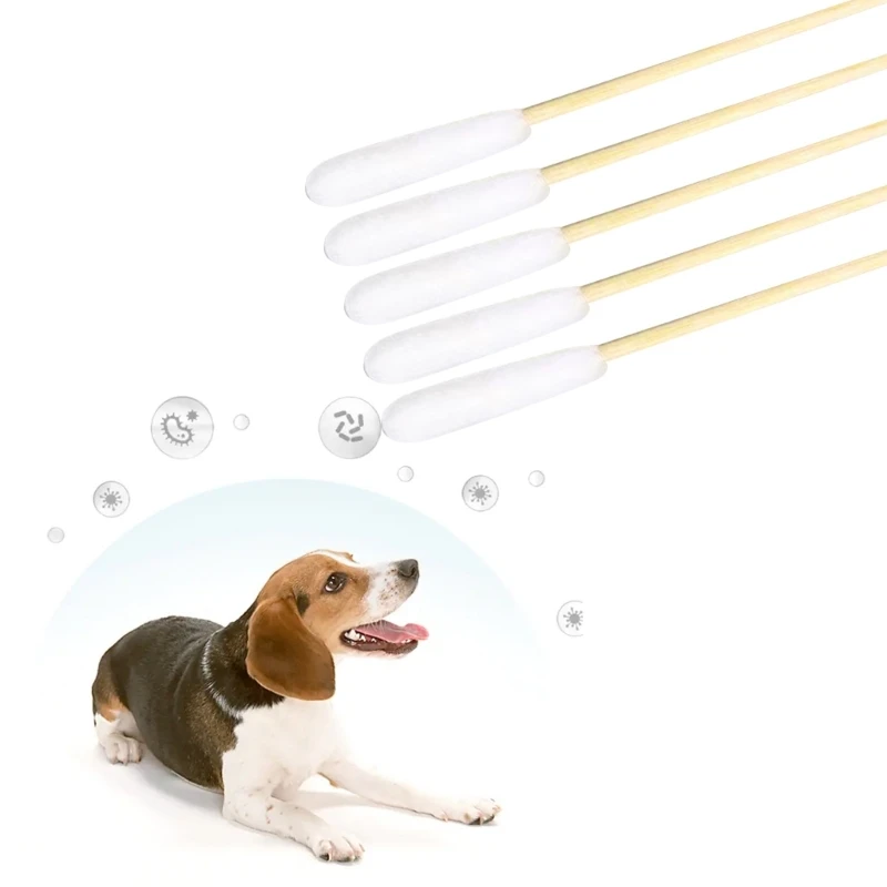 Packung mit 100 Einweg-Wattestäbchen für Haustiere, sichere Ohrenreinigung für Haustiere, große Größe