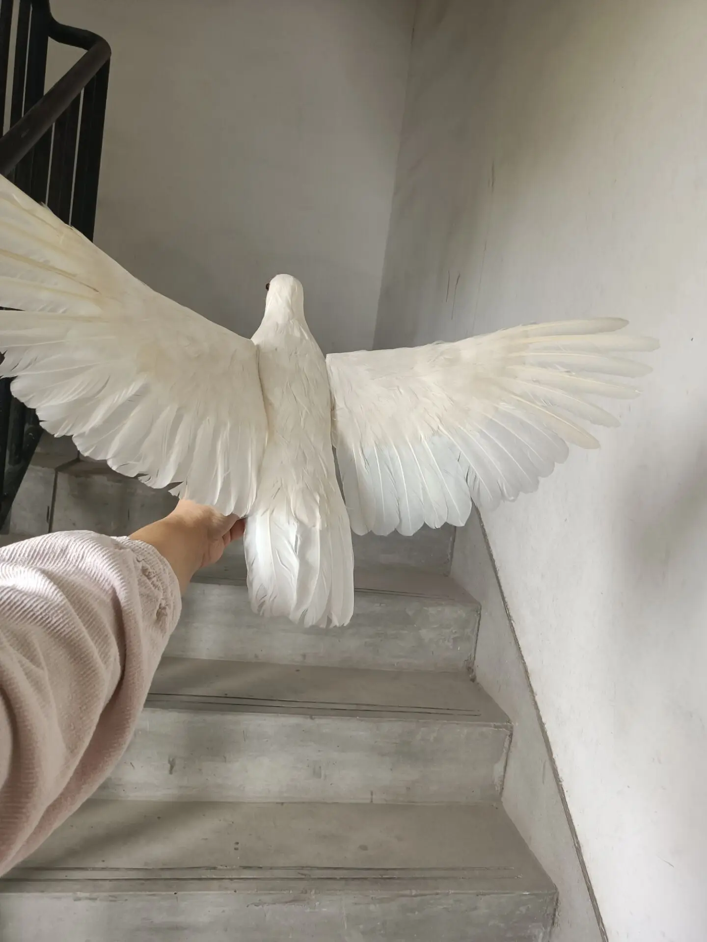 Big White Simulation Dove Model 43x77 Cm with Foam Feather Wings Garden Bird Decoration Foam & Feather Wings Gift