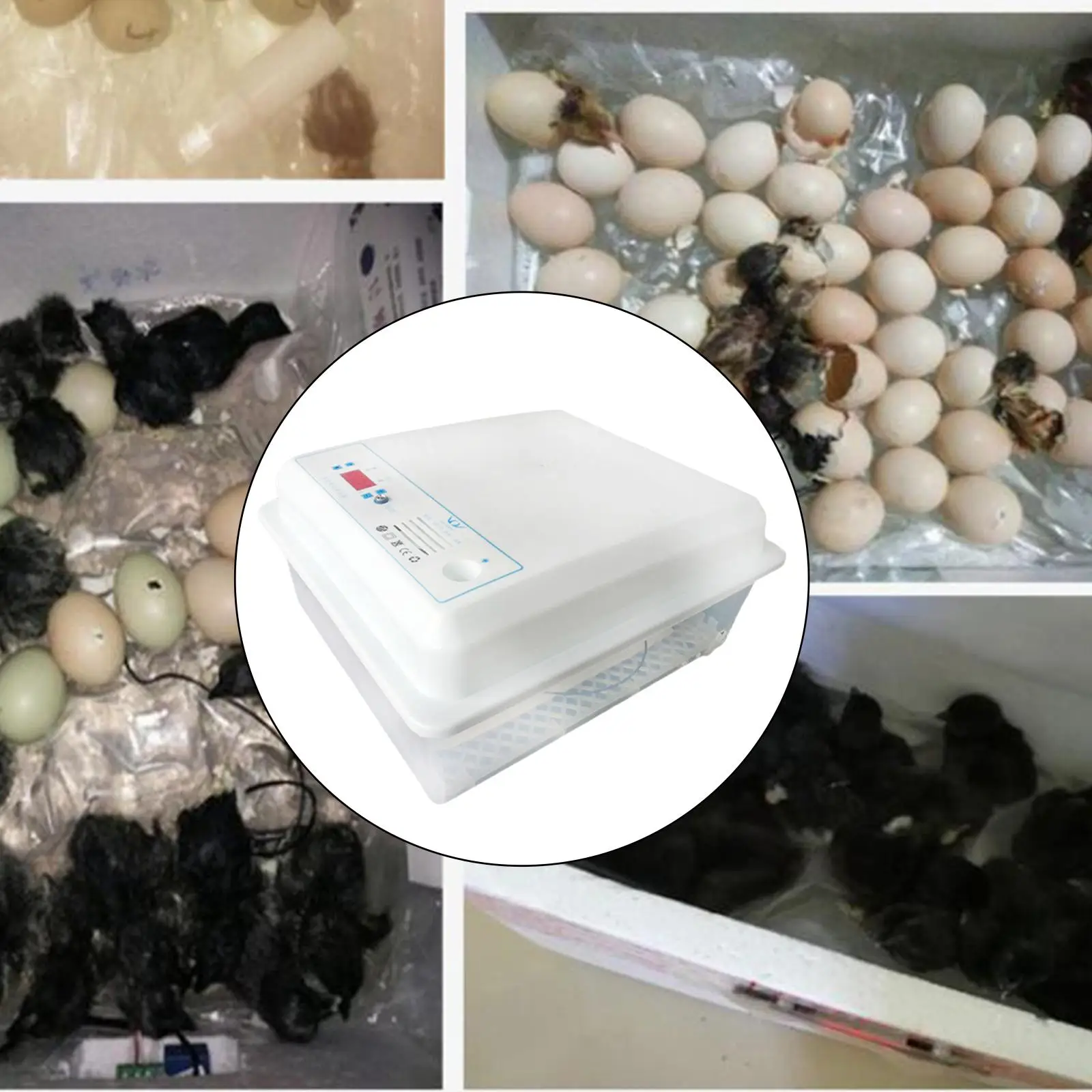 Egg Incubator Automatic Poultry Hatcher Machine Egg Turner Temperature Control Chicken Incubator for Hatching Chicken Quail