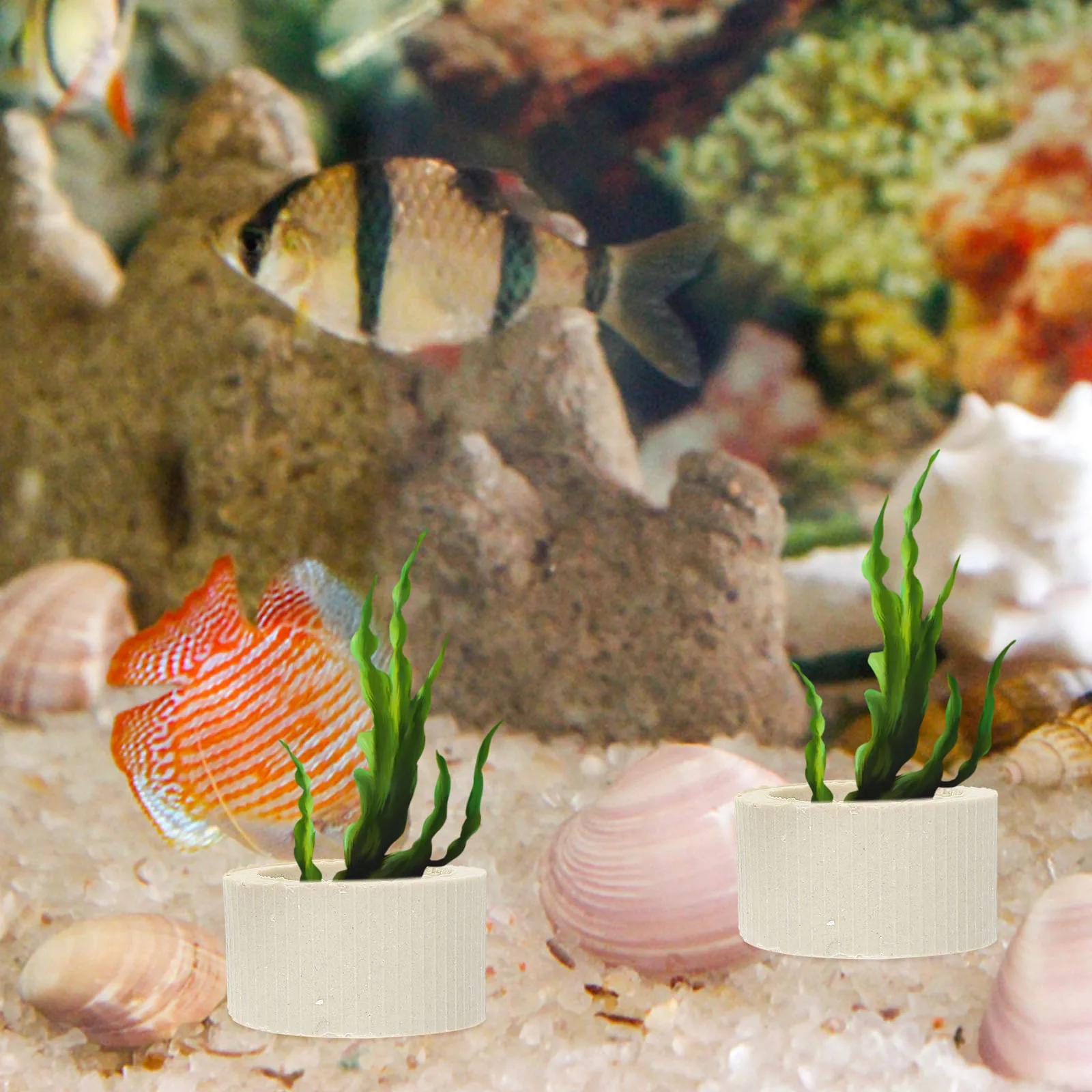 

1 Set Planting Cup Net Pots Wear-Resistant Aquarium Plant Holder Replaceable Household Net Cups Hydroponic Aquatic Plant Supply