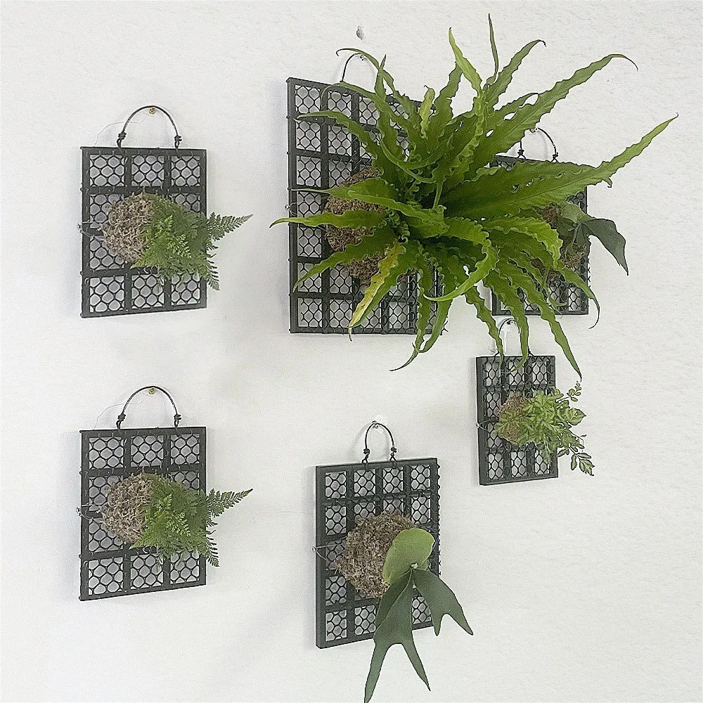 Black Thickened Staghorn Fern Board Dendrobium Plastic Planting Board Orchid Fern Plant Bed Board Gardening Hanging Board
