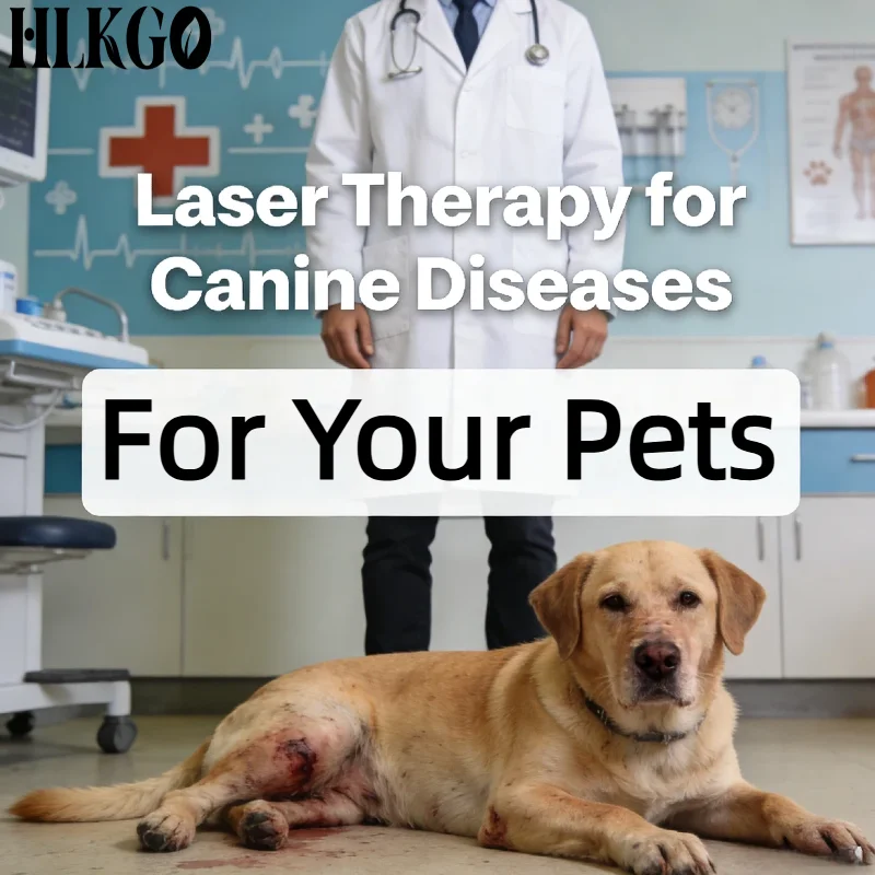 

Профессиональный аппарат LLLT для холодной лазерной терапии 650 нм 808 нм с двойной длиной волны для лечения спортивных травм, артрита, пяточных шпор у людей и животных