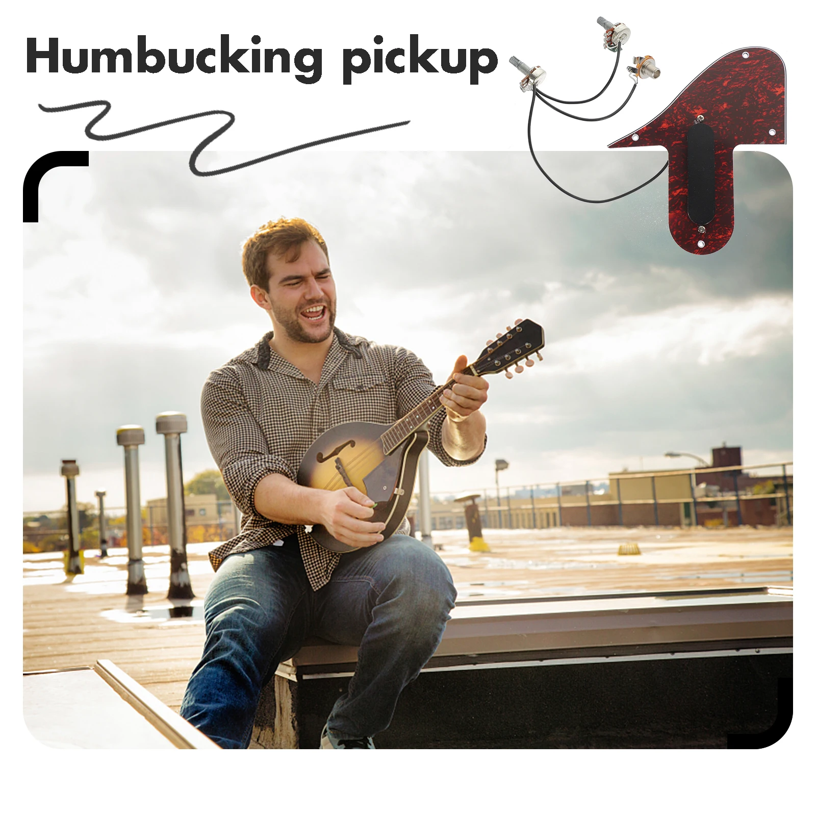 

Mandolin assembly Mandolin pickup Guitar scratch plate plate pickup