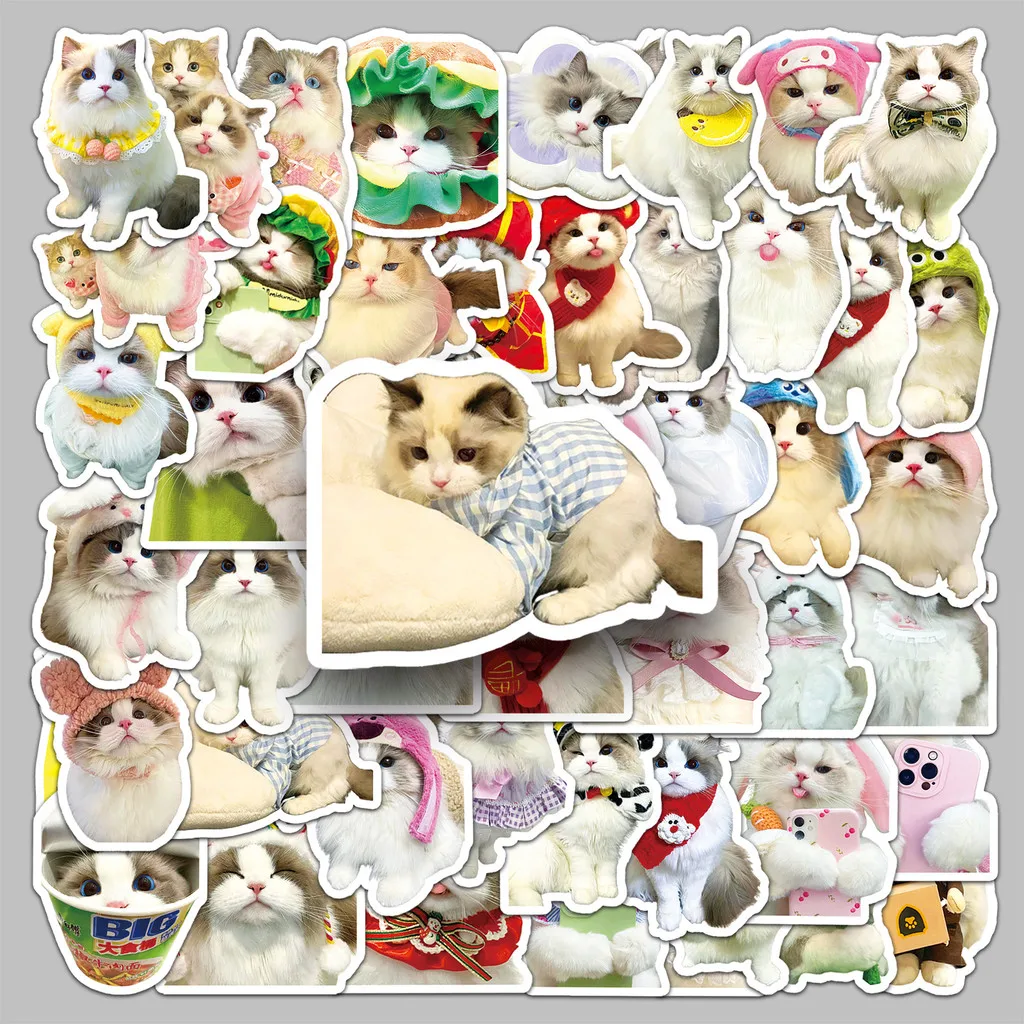 50 szt. naklejek z kotami Ragdoll - urocze, kreskówkowe dekoracje dla zwierząt na butelkę z wodą/laptop - wodoodporne, sklep RecordingYourLife