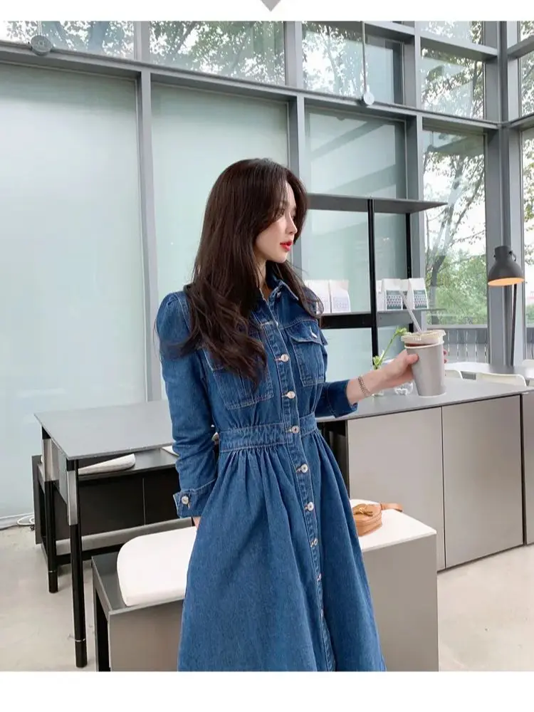 Autumn New Korean Style Fashion Casual Long Sleeve Single breasted Dress Women's Shirt Denim Dresses Temperament