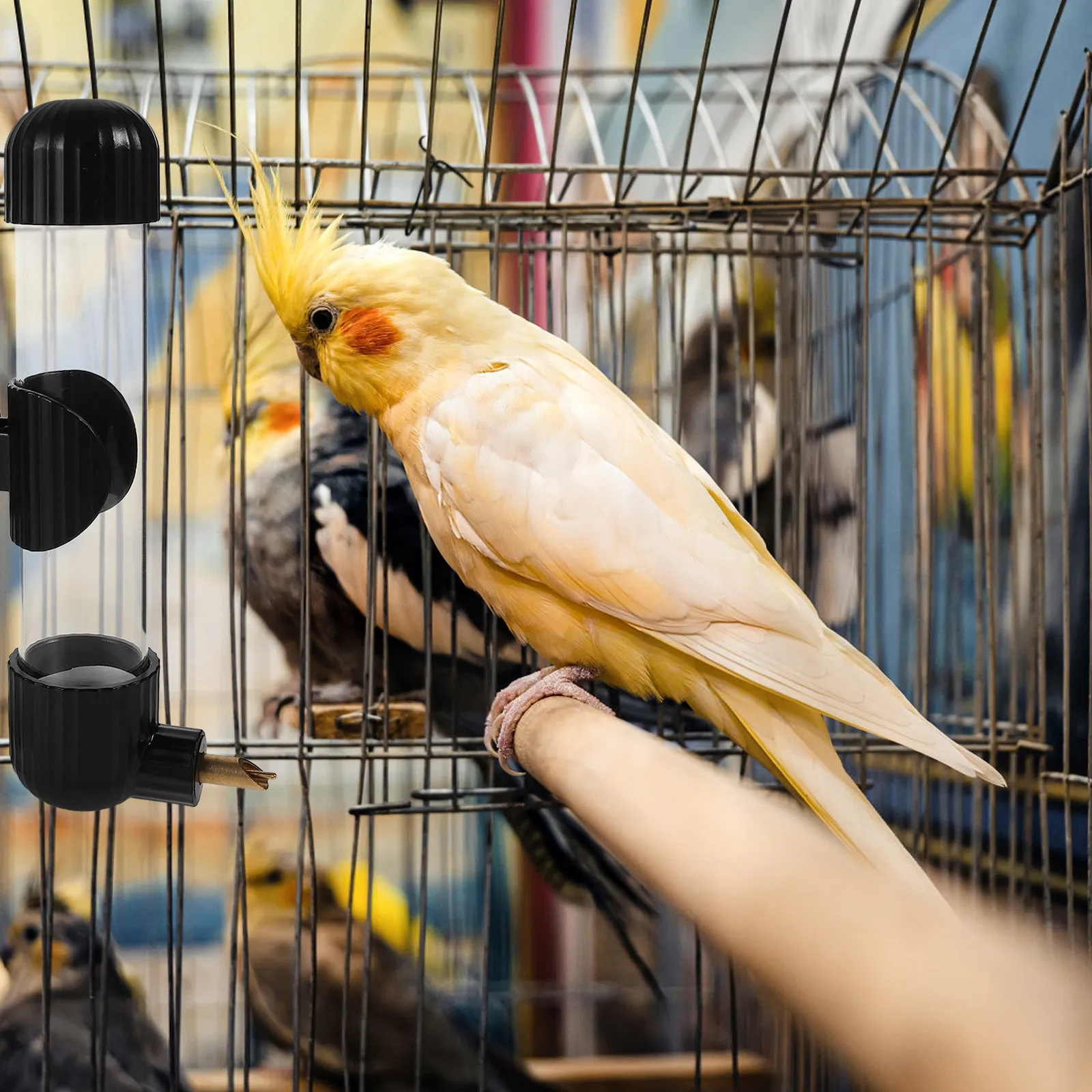 

220Ml Bird Water Dispenser Clear Automatic Parakeet Feeder Durable Copper Nozzle For Parrot Cockatiel Small Cage Pets Easy