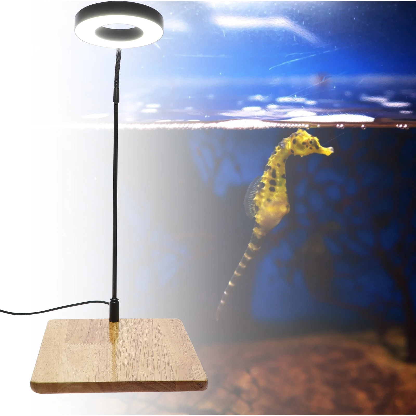 Luz LED de acuario de alto brillo para plantas de pecera, luz LED de cultivo alimentada por USB, iluminación de relleno de césped y agua en maceta