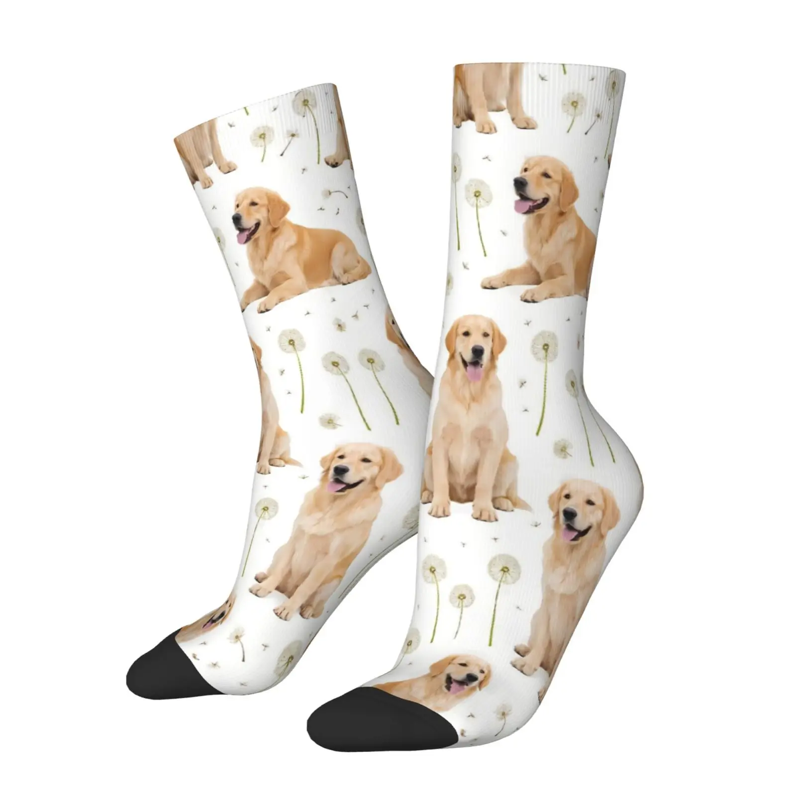 A Pair of Unisex Outdoor Socks Featuring a Golden Retriever And Dandelion Print Machine Washable Suitable for Outdoor Sports