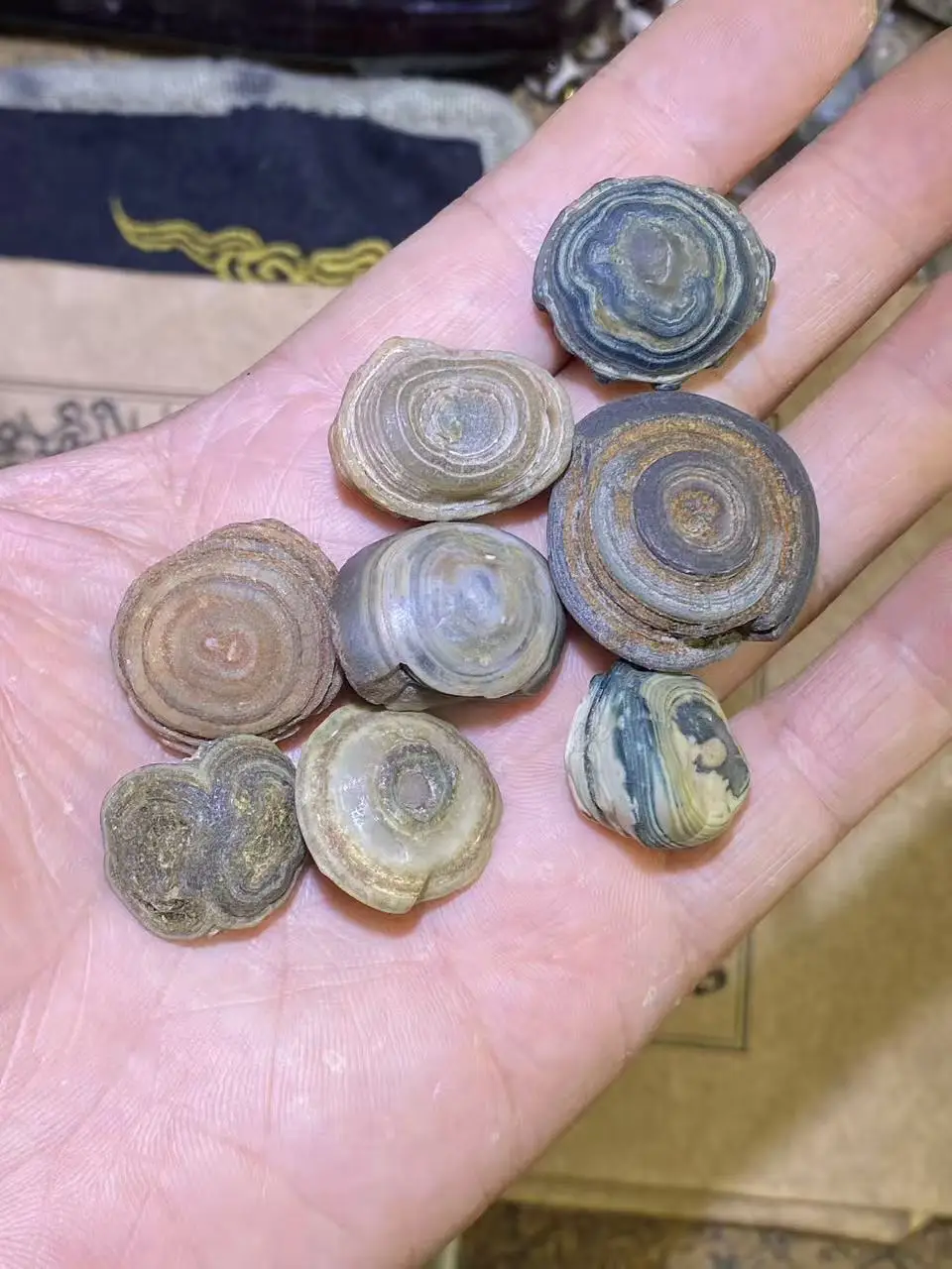 1bag/lot Natural Gobi Agate Eye Stone Rare collectibles calabash shape Miraculous strong energy amulet Limited diy inlay rings