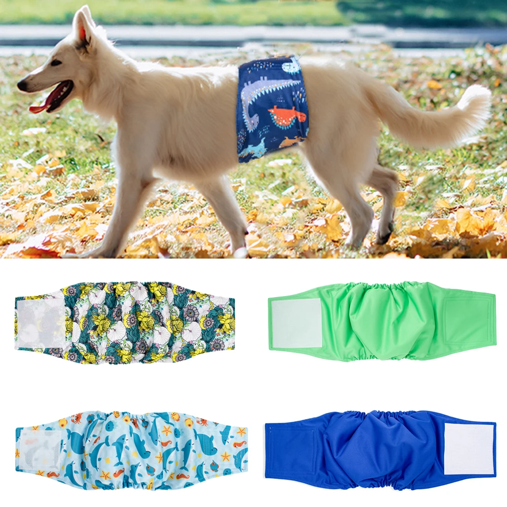 Printed Dog Shorts …