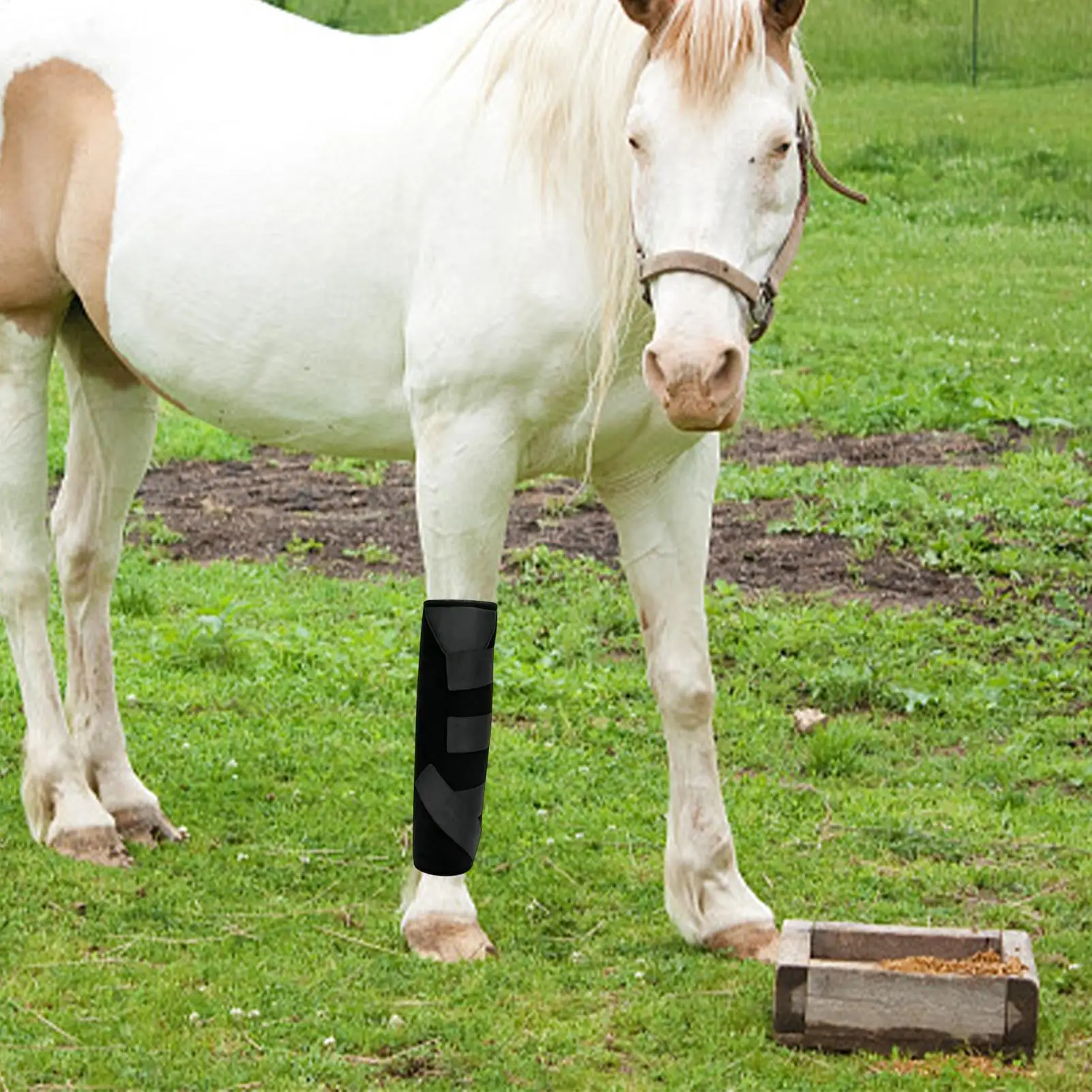 bottes-de-refroidissement-reutilisables-pour-chevaux-–-compresses-de-glace-pour-les-jambes-des-chevaux-ideales-pour-les-equitaiteurs-les-entraineurs-les-eleveurs-les-concours-et-les-stalles