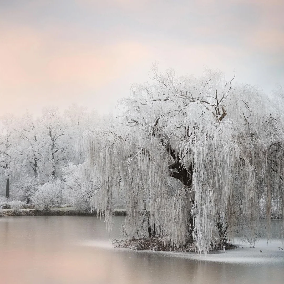 

13 inch 8 Core For Toyota Tundra 2007-2013 Wireless Carplay Android 13 GPS Navigation Head Unit Car Radio Multimedia Player Auto