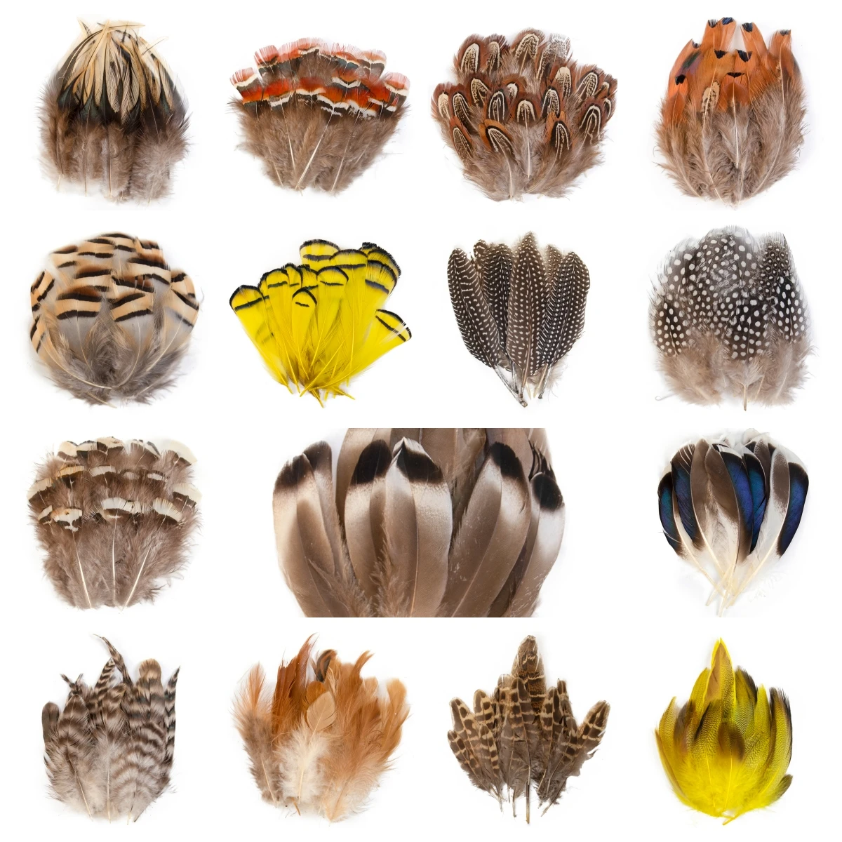 Natural Pheasant Peacock Pheasant Feather Wholesale Small Plume Handicraft Accessories for Jewelry Creation Holiday Decoration