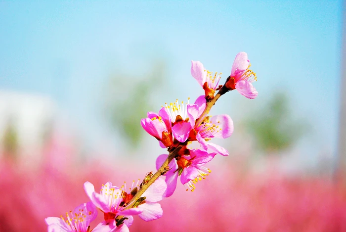 

Алюминиевые раллийные колеса для Tamiya TA02S Lancia TA02 TA07 TA02S TA02SW XV01 TT-02 Type-S HPI 4WD 1:10 RC дрифт-моделей автомобилей