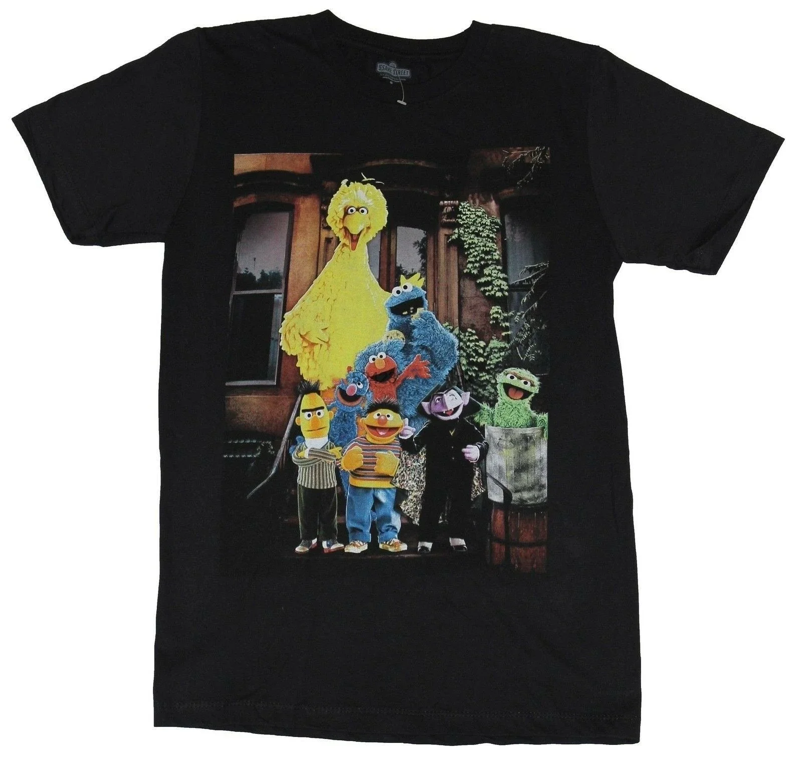 Sesame Street Mens T-Shirt - 8 Muppet Photo Big Bird Bert Ernie Count Elmo Heavyweight T Shirts for Men Plus Size Graphic Tees