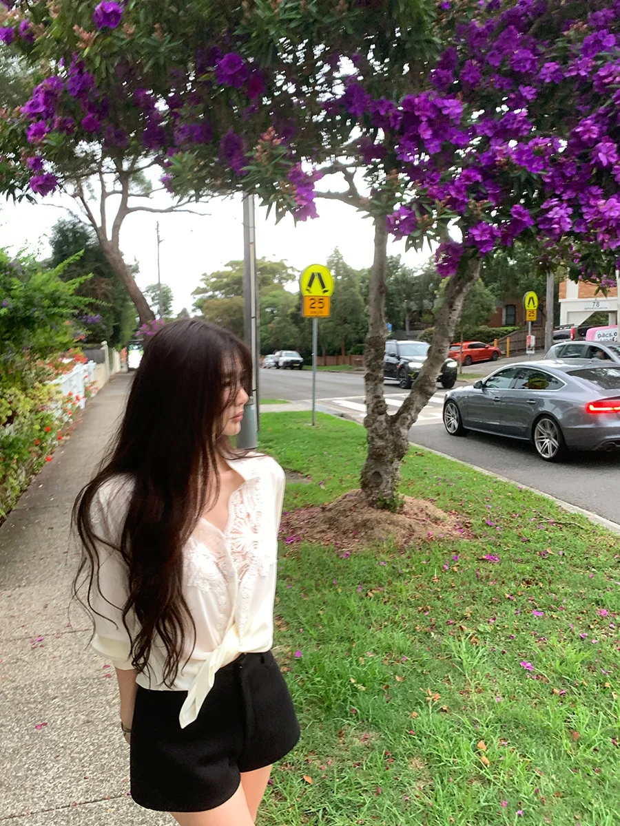 

Женская блузка CloudSweet в винтажном стиле с кружевом и вышивкой, с отложным воротником, длинными рукавами, модный топ для женщин