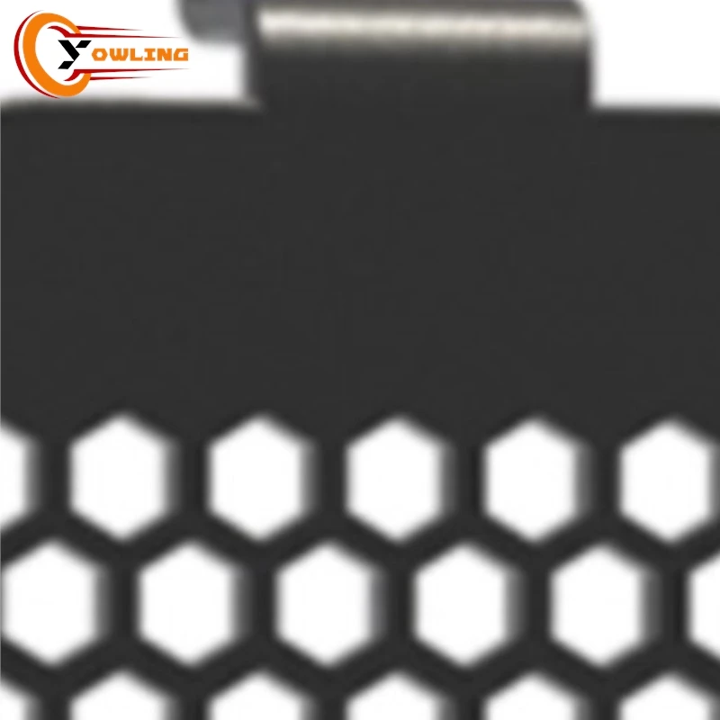 

For CFMOTO CF MOTO 450SR 450SS 450 SR / SS 2022-2025 2024 2023 Motorcycle Accessories Radiator Grill Guard Protection Cover Set