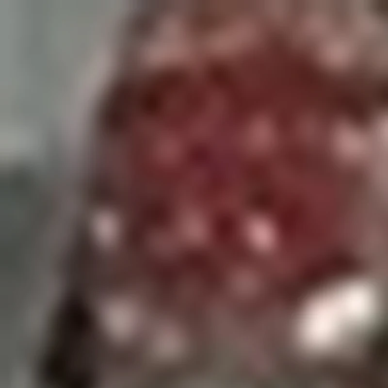 

Stethoscope Spare Parts Replacement Eartips Tunable Diaphragm Rim Assembly Kit Compatible for Littmann Classic III 40016 A1