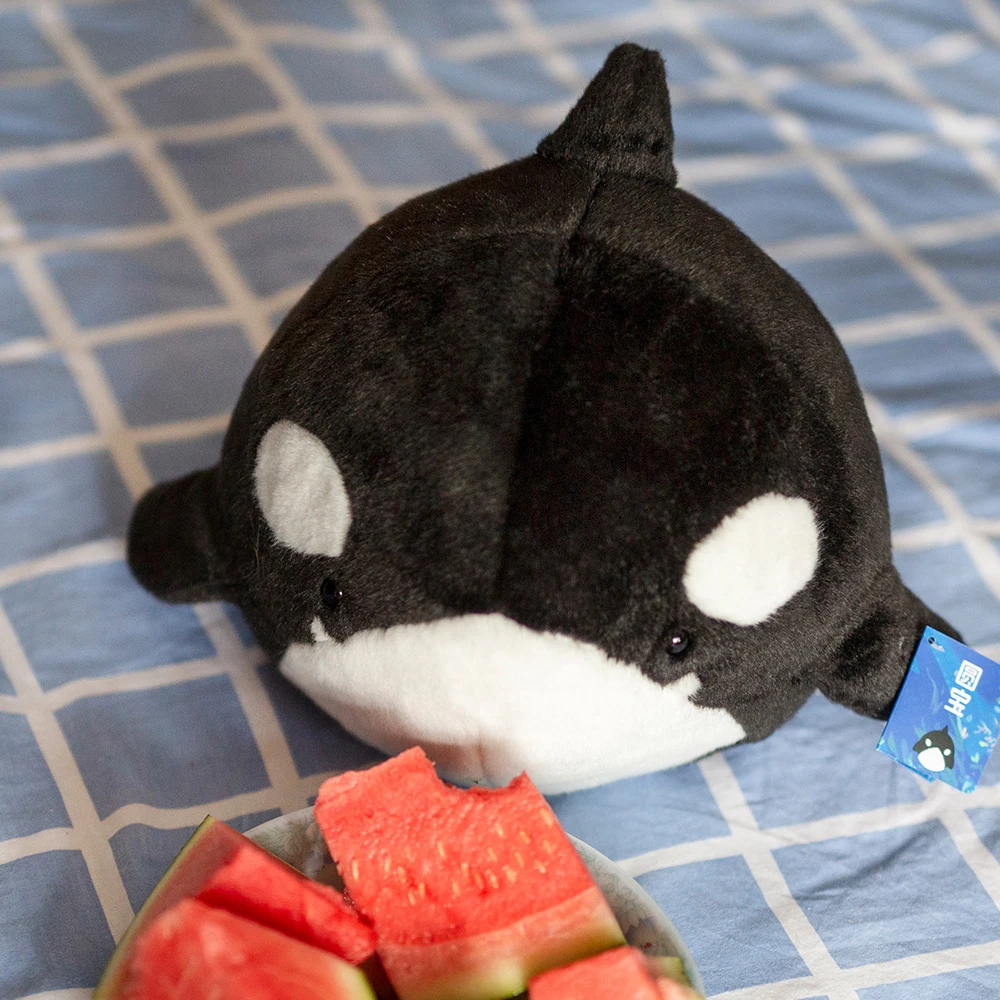 

The Orca Blackfish Long Big Killer Whale Stuffed Animal Sea Critters Plush Doll