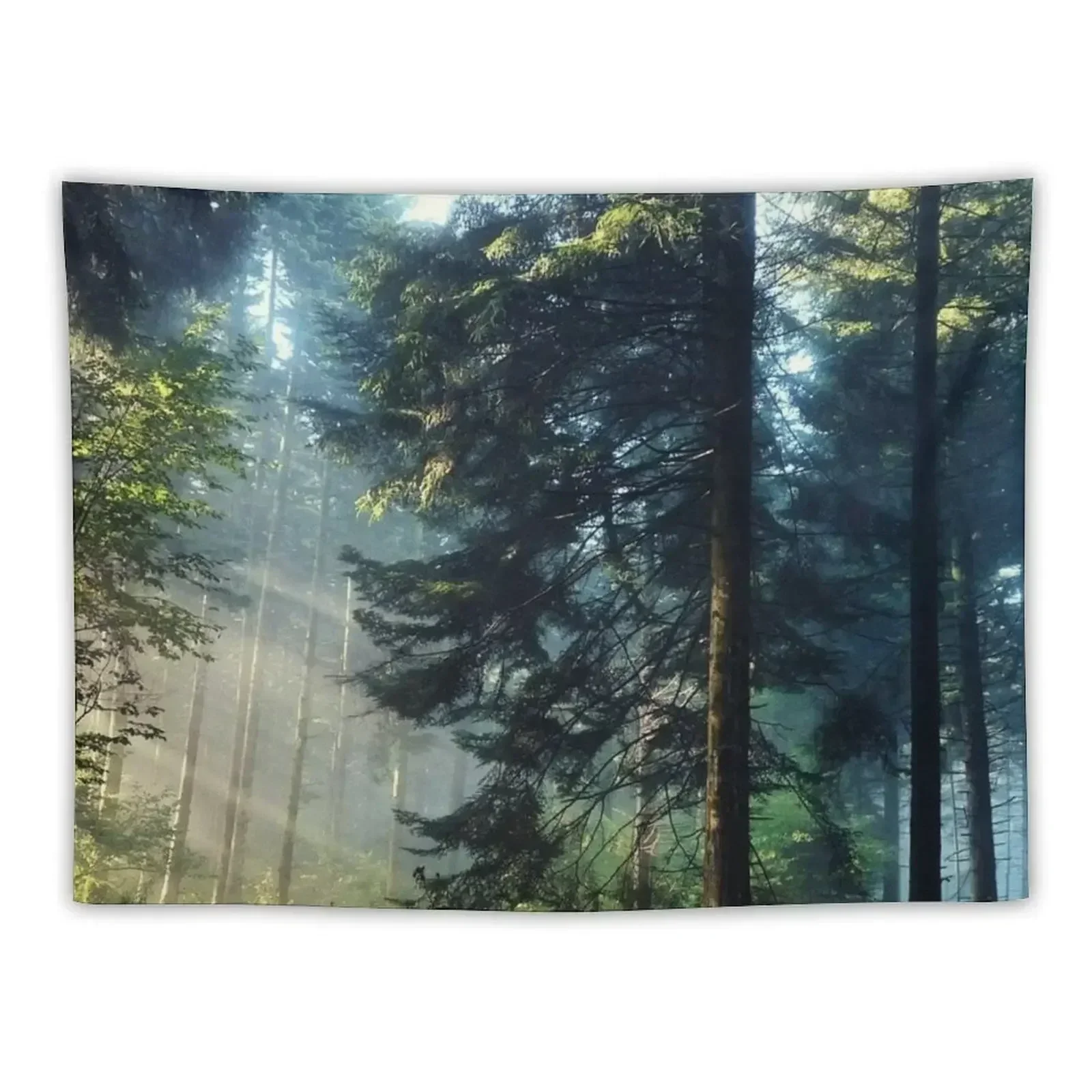

Morning forest - forest Tapestry Luxury Living Room Decoration Room Decorating Aesthetic Tapestry