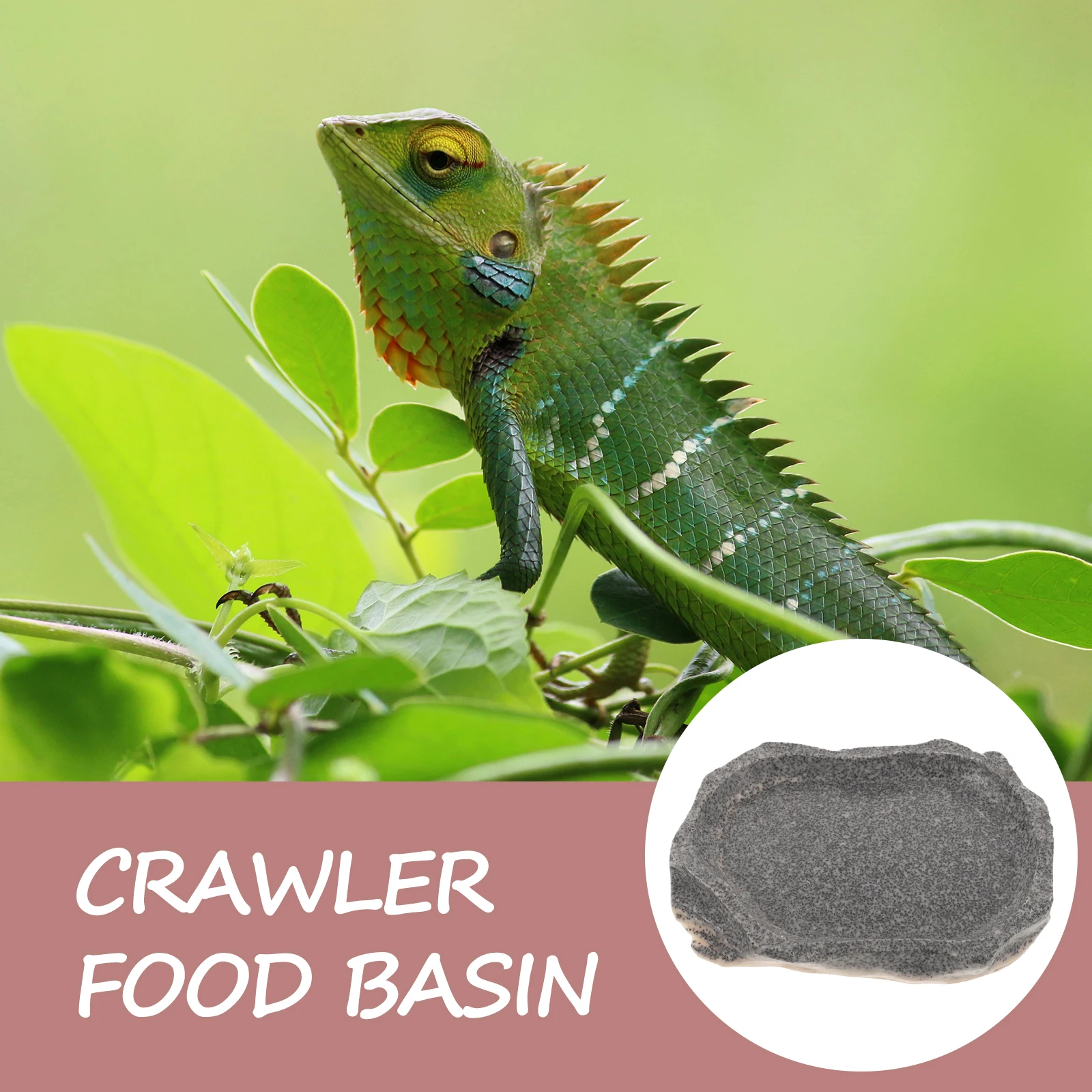 

Simulation Stone Reptile Water Dish Sturdy Resin Feeding Basin for Mealworms Bowl for Bearded Dragons