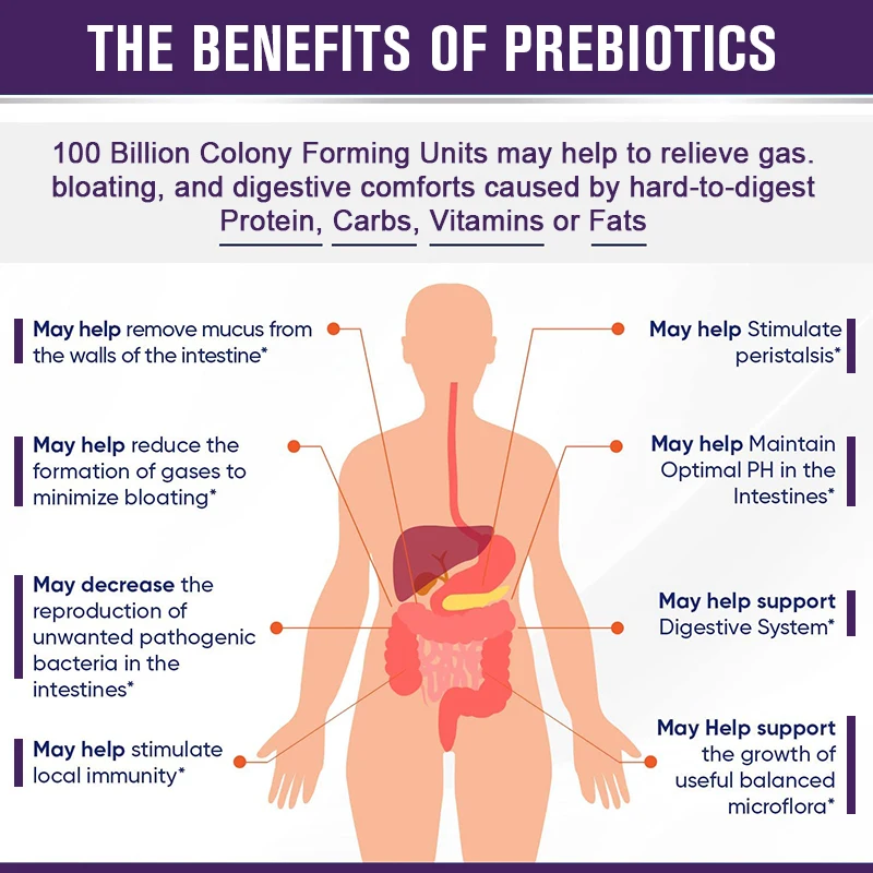 Capsule probiotique brute pour la digestion de l'estomac et du système immunitaire, enzyme Digestive du canton, accélération du métabolisme, 100 milliards de CFU