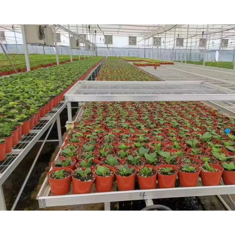 طاولة زراعة بذور كبيرة الحجم متحركة عالية الجودة مقاس 4 × 8 من Ebb وطاولة زراعة الدفيئة المائية