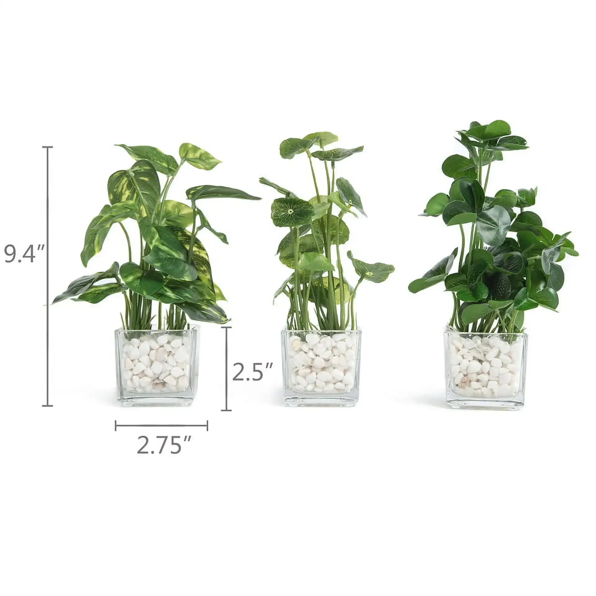 Set of 3 artificial plants in clear glass pots with white decorative stones. 2.75