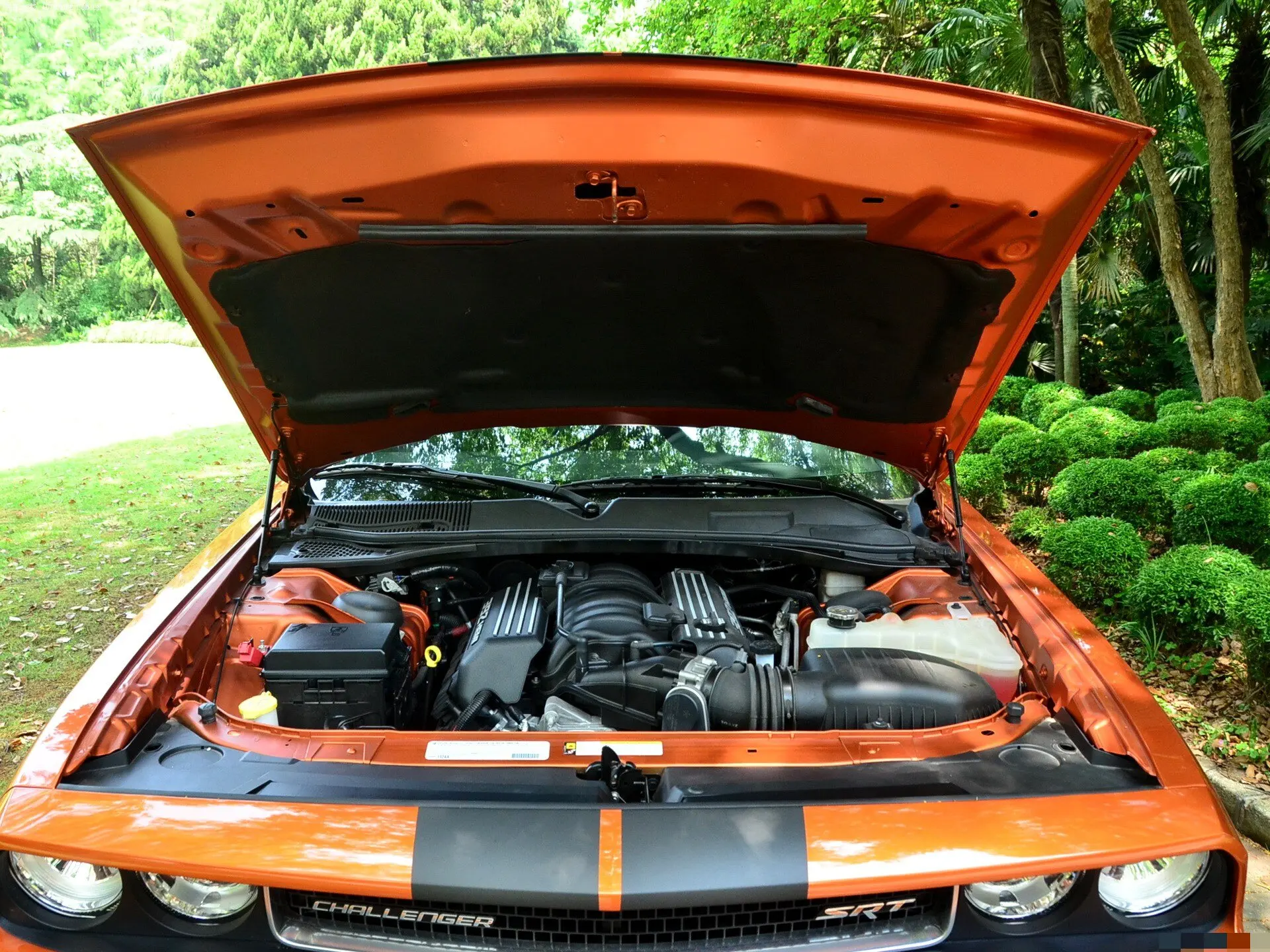 

Комплект из 2 газовых упоров капота для Dodge Challenger 2-дверное купе SRT/EGG/EZH/ERB/SRT8 2008-2023, передние амортизаторы для подъема капота