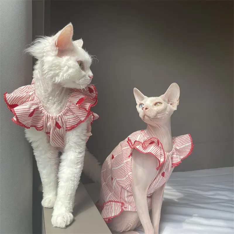 Vestido de algodón para gatos Devon Rex y Sphynx con cuello de encaje