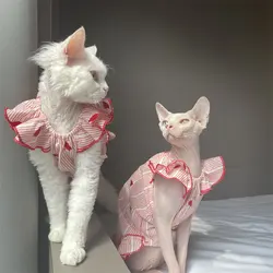 Vestido de algodón para gatos Devon Rex y Sphynx con cuello de encaje