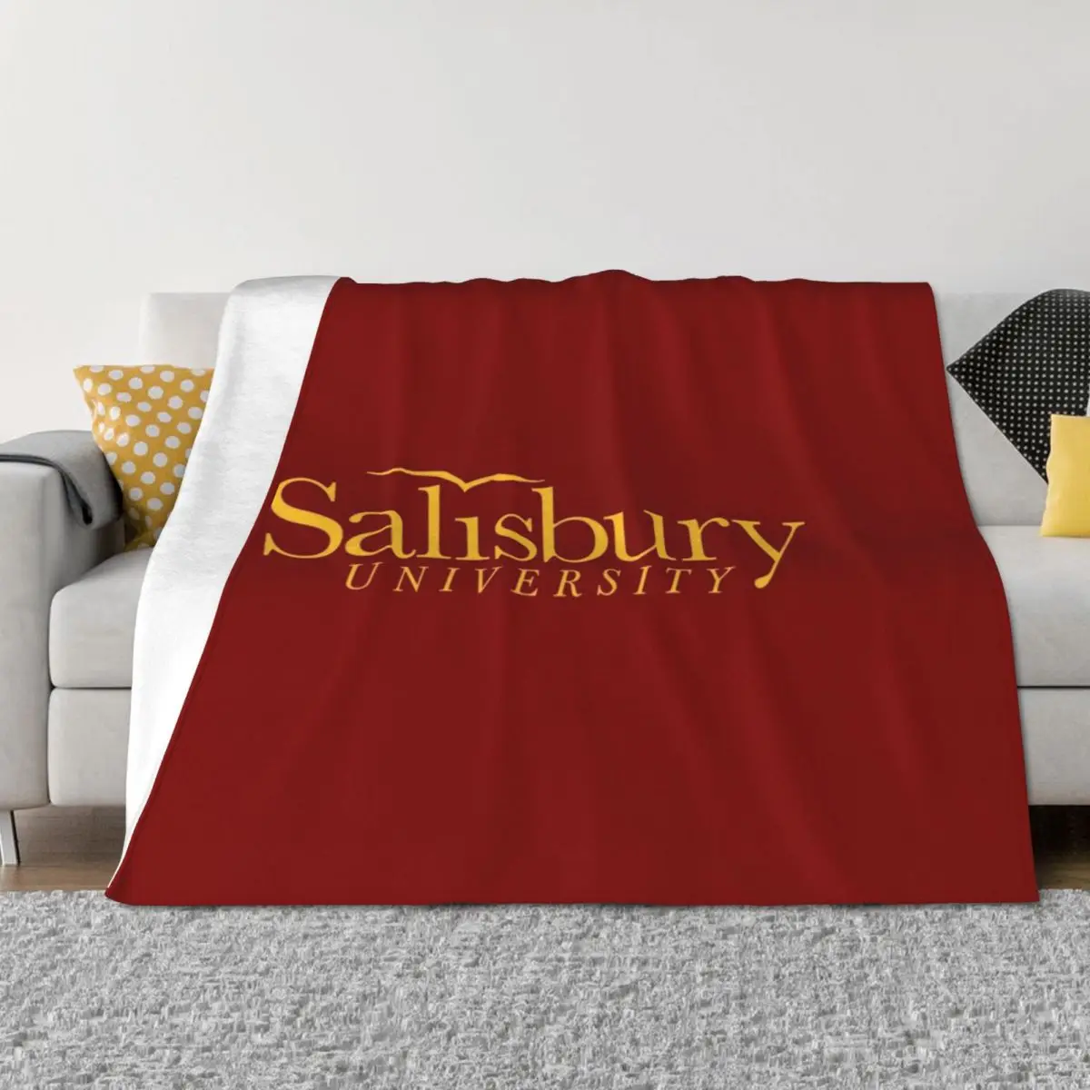 Salisbury University Throw Blanket Decorative Beds Summer Beddings For Sofa Thin Sofa Throw Blankets