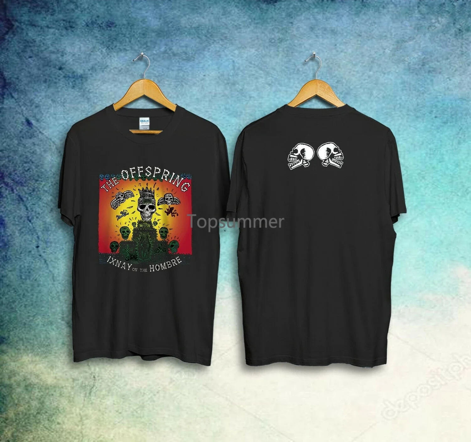 Vintage The Offspring Vintage Tudo O Que Eu Quero Era Ixnay No Hombre T-Shirt