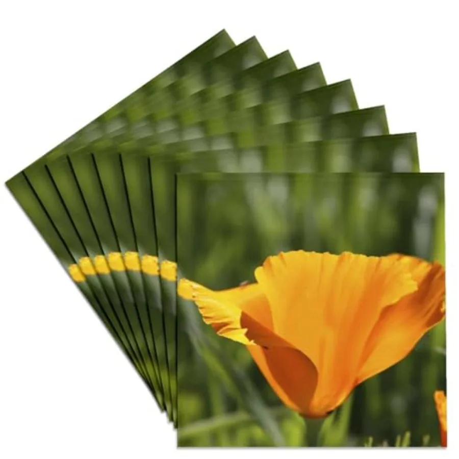 

Набор из 8 керамических подставок под кружки с изображением красивого оранжевого калифорнийского мака - Весенняя фотография, серия LLC