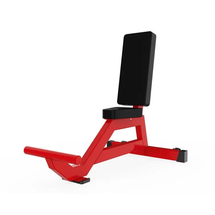 

Commercial Strength Training Utility Bench Plate Loaded Fitness Equipment for Multi-Purpose Back and Arm Training