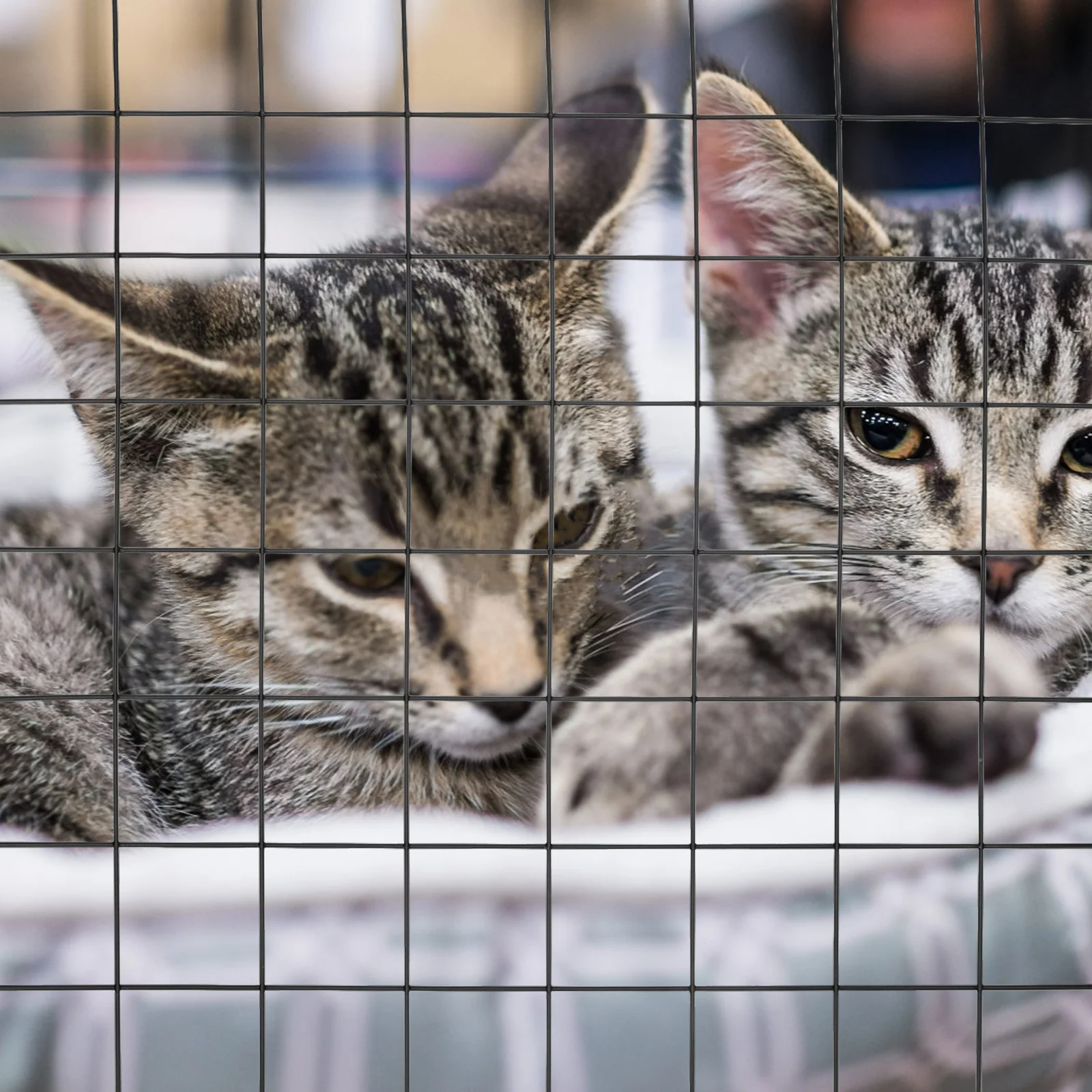 4 قطع من ملحقات أقفاص الحيوانات الأليفة، ألواح سياج حديدية سميكة سوداء لحظائر الكلاب، شبكة عزل للدجاج