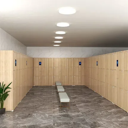 Smart gym locker facial recognition bag storage bathroom locker WeChat fingerprint scan code password