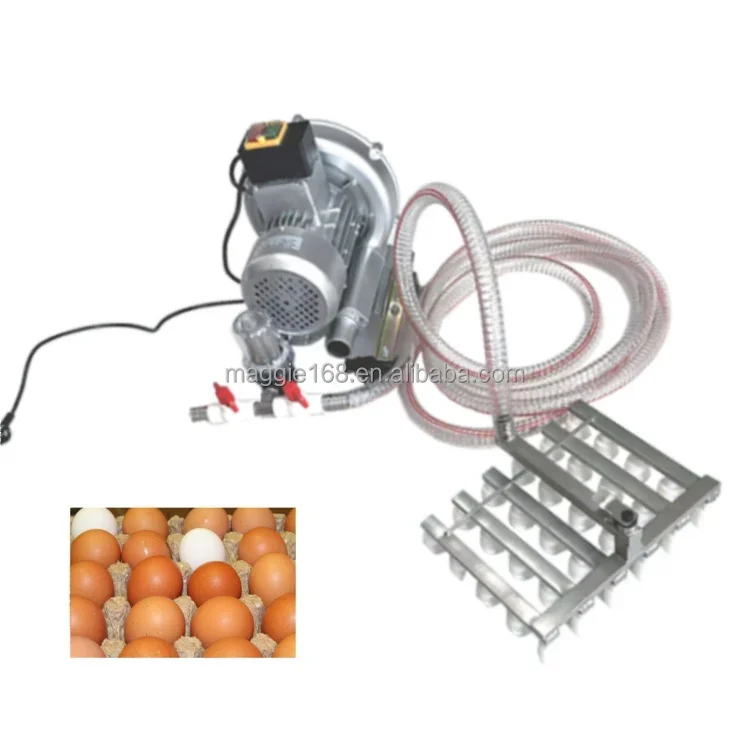 220v/50hz 370w  30pcs 304 stainless steel  vacuum egg lifter Vacuum Egg Sucker Equipment vacuum egg sucker machine