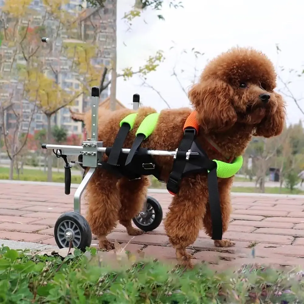

Легкая регулируемая коляска для домашних животных с задними ножками, ремнями и комфортом для разных цветов средних собак, раснесенных артритом