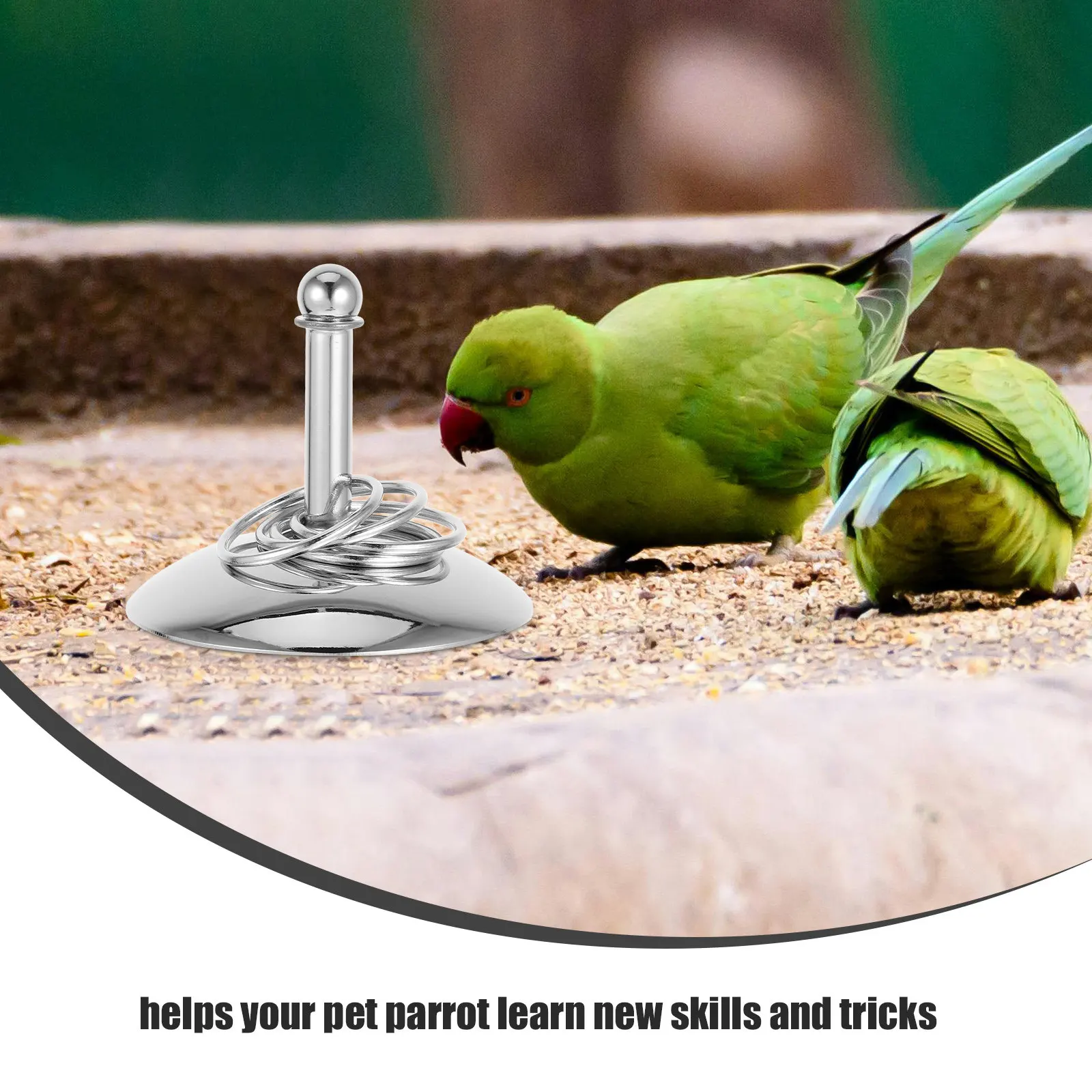 1Set Pet Parrot Ring Toss Interactive Training Stainless Steel Tabletop Stacking Rings Game for Cockatiels Conures Lovebirds
