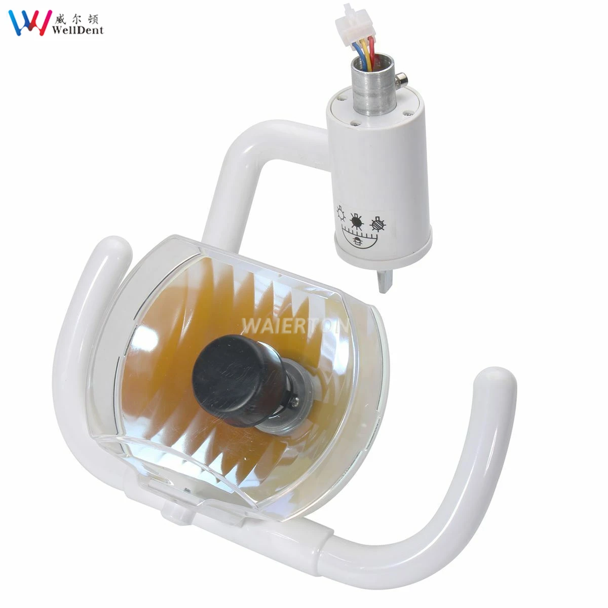 Dental Oral Light Halogen Shadowless Light for Dental Chair Unit 22mm 26mm Multi-Angle Dentist Chair Platform Clean Teeth Lamp