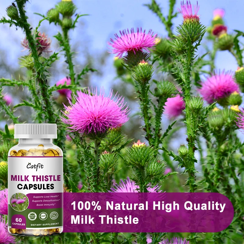 Catfit Natural Herbal Milk Thistle Liver Care Capsules Detox Clearing Away Heat Detoxifying Liver protection Decompose alcohol