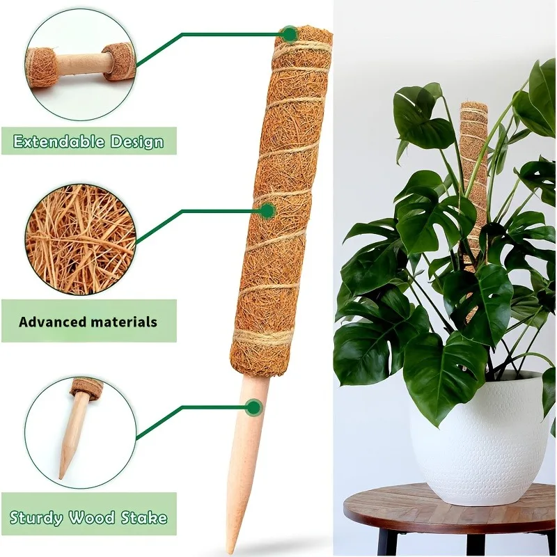 2 Stück Pflanzenstützstangen Moosstangen für Kletterpflanzen Kokosfaser-Stäbe Pothos Rankhilfe Anti-Fall-System