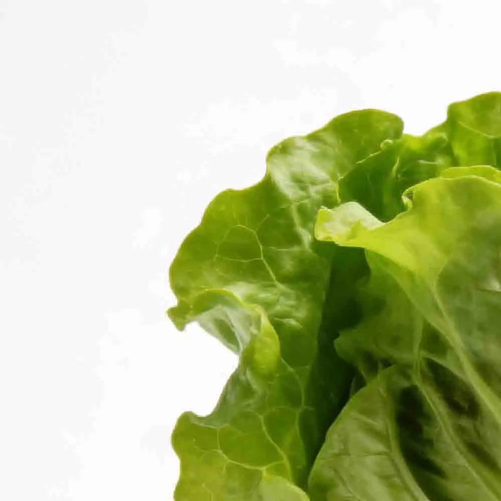 Hpxgrc 2S 3S 4S 5S …