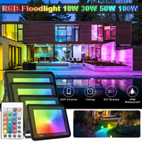 Timed Colorful RGB Floodlight Reflector 220V 10W 100W Waterproof LED Spotlight for Garden Outdoor Indoor Home Festival Decor